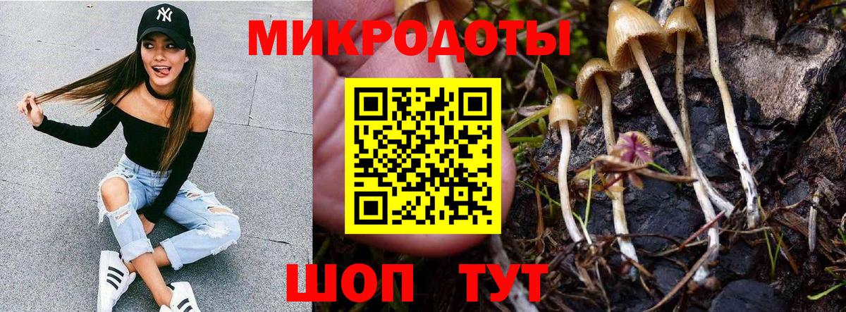 Псилоцибиновые грибы прущие грибы Курган