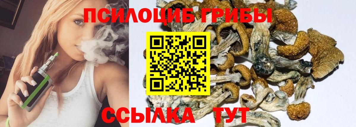 Курган  Галлюциногенные грибы GOLDEN TEACHER  цены наркотик  Вход с VPN 